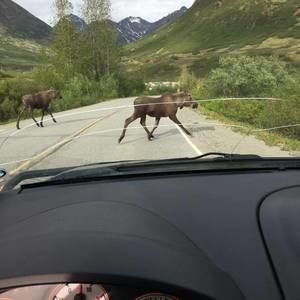 Meet your Posher, Ken